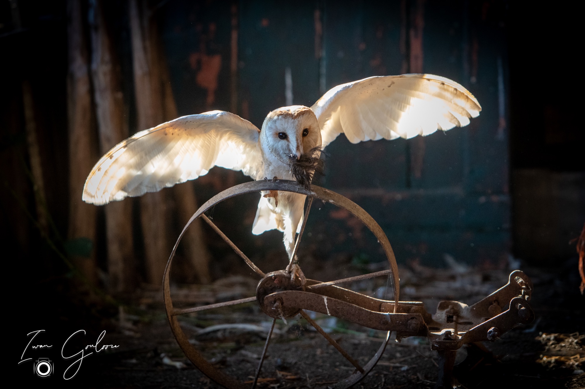 04 maart 2022 161031 1DX44224